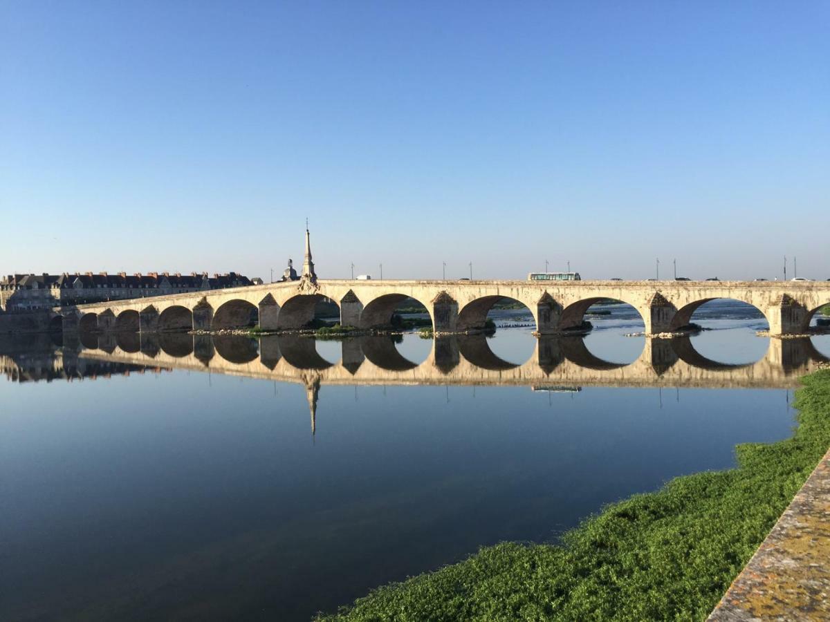 Les Lumieres De La Loire Apartment Blois Luaran gambar