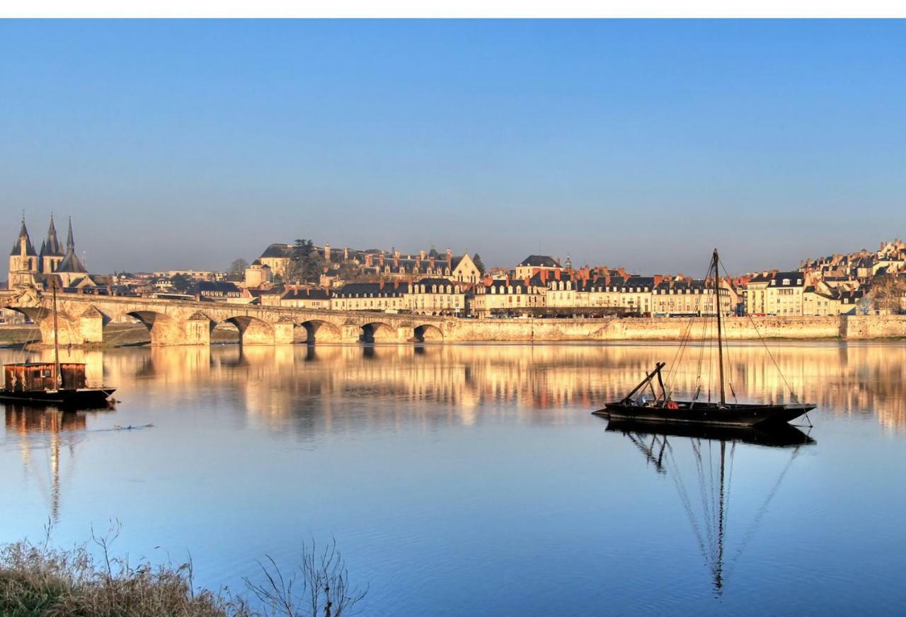 Les Lumieres De La Loire Apartment Blois Luaran gambar